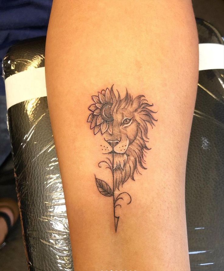 lioness tattoo drawing