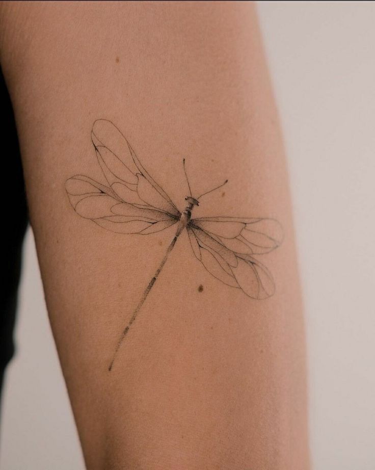 mystical elegant dragonfly tattoos