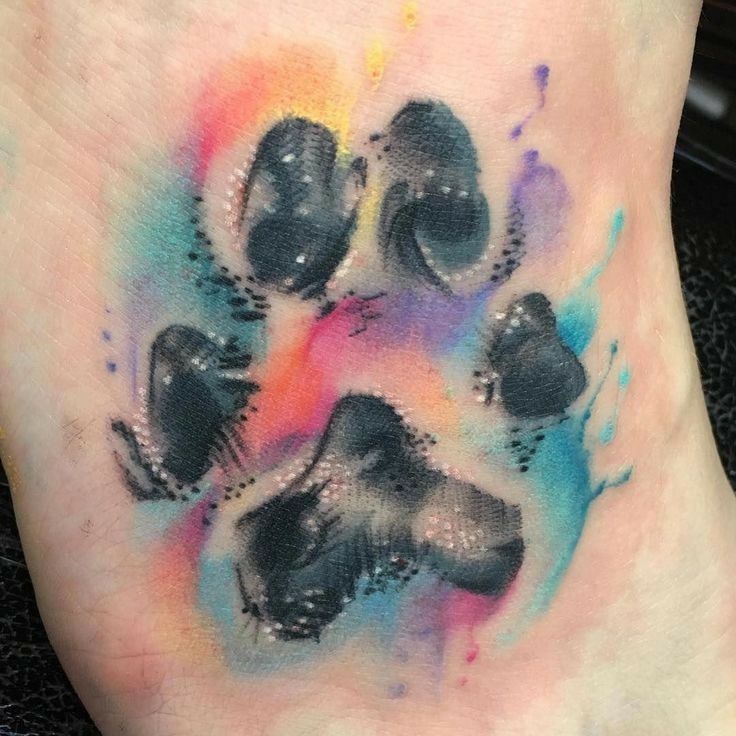 watercolor paw print tattoo